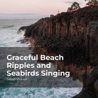 Graceful Beach Ripples and Seabirds Singing by Ocean Waves