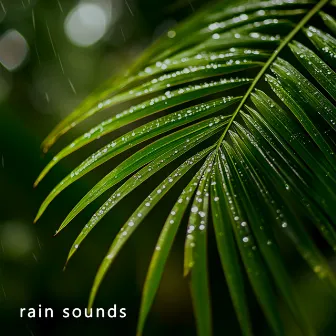 Tranquil Resting Flow by Sleep Nature Rain Sound