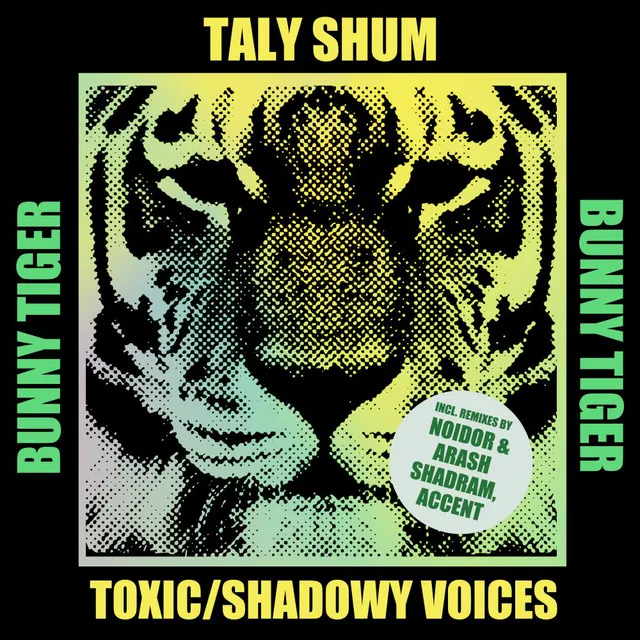 Shadowy Voices - Noidor, Arash Shadram Remix