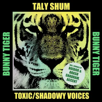 Shadowy Voices (Noidor, Arash Shadram Remix) by 