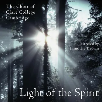 Light of the Spirit by Timothy Brown