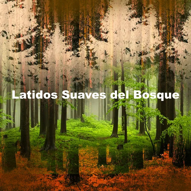 Latidos Suaves del Bosque