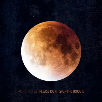 Please Don't Stop the Boogie by Amber Revival