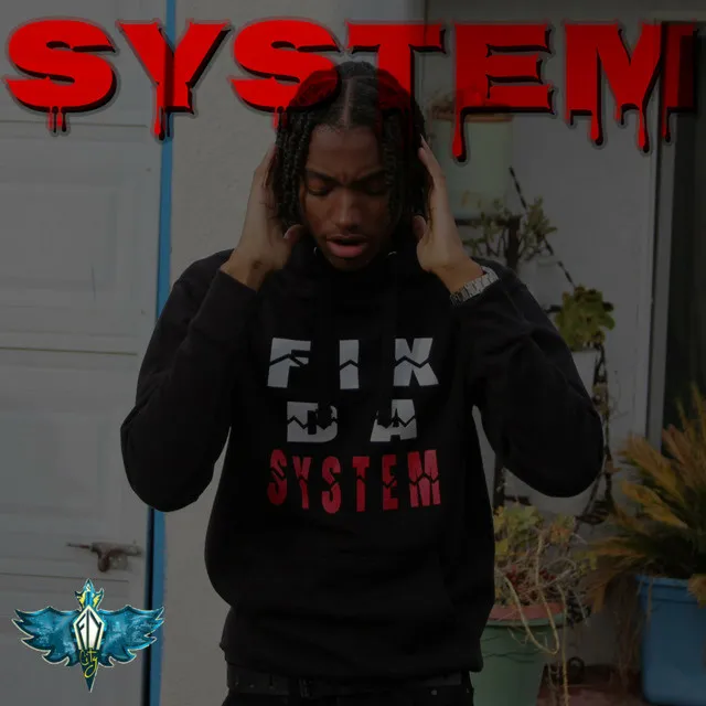 System