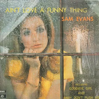 Ain't Love A Funny Thing by Sam Evans