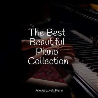 The Best Beautiful Piano Collection by Unknown Artist