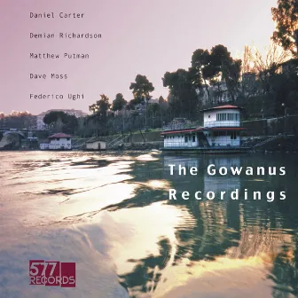 The Gowanus Recordings by Daniel Carter