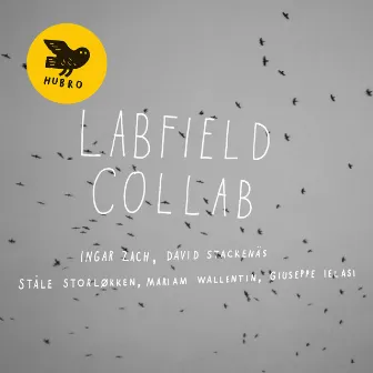 Collab by Labfield