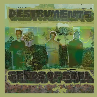 Seeds of Soul by Destruments