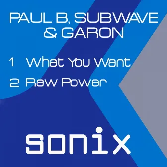 What You Want / Raw Power by Garon