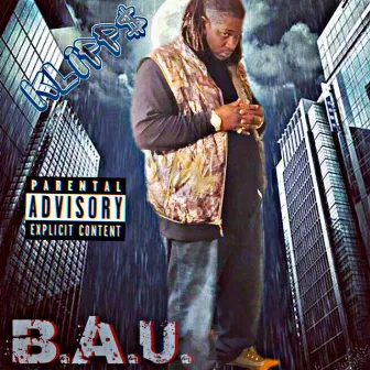 B.A.U. Business As Usual by Klipp$