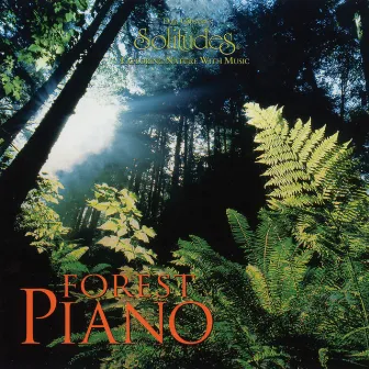 Forest Piano by John Herberman