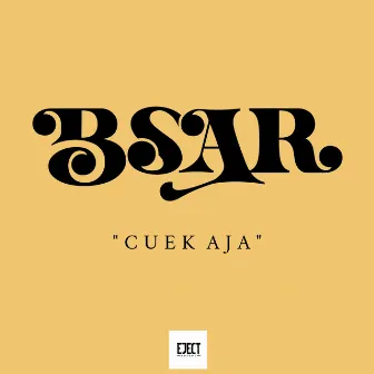 Cuek Aja by BSAR