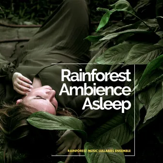 Rainforest Ambience Asleep by Unknown Artist