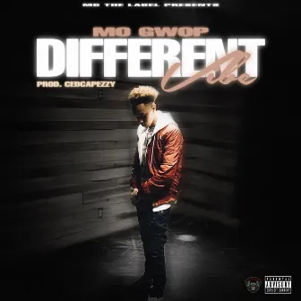 Diffrent Vibe by Mo Gwop