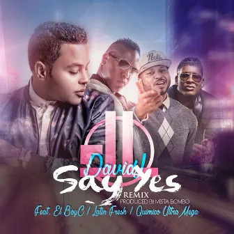 Say Yes (Remix) [feat. El BoyC, Latin Fresh, Quimico Ultra Mega] by David L