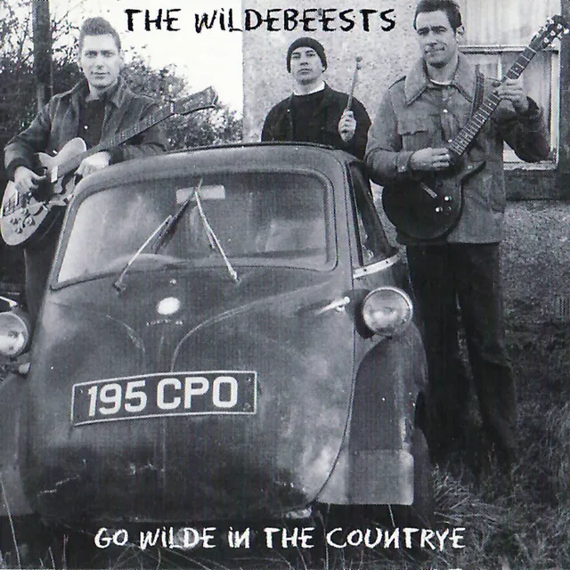 Go Wilde in the Countrye