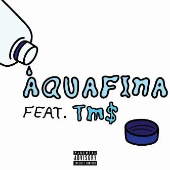 Aquafina by Unknown Artist