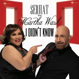 I Didn't Know by Serhat