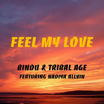 Feel My Love by Bindu