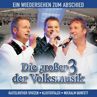 Ein Wiedersehen zum Abschied by Die großen 3 der Volksmusik