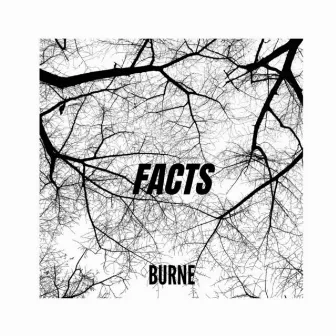 FACTS by BURNE