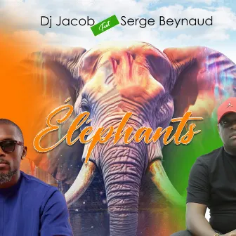 Eléphants by DJ Jacob