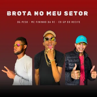 Brota no Meu Setor by Mc Fininho Da RC