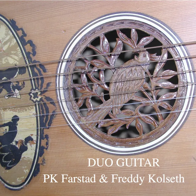 Duo Guitar