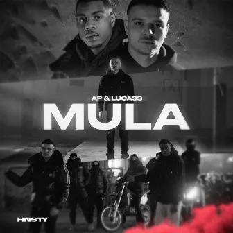 Mula by AP