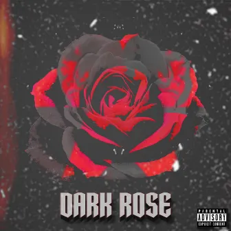 Dark Rose by Sam Watson