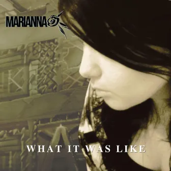 What it was like (Acoustic version) by Marianna Zappi