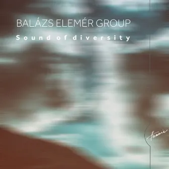 Sounds of Diversity by Balazs Elemer Group