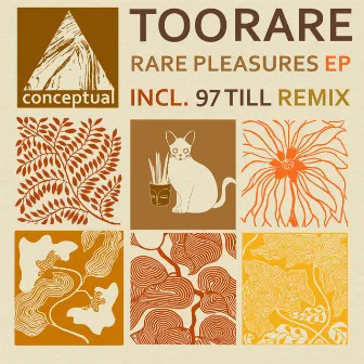 Rare Pleasures by TooRare