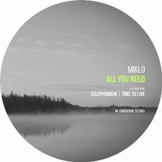 All You Need by Miklo