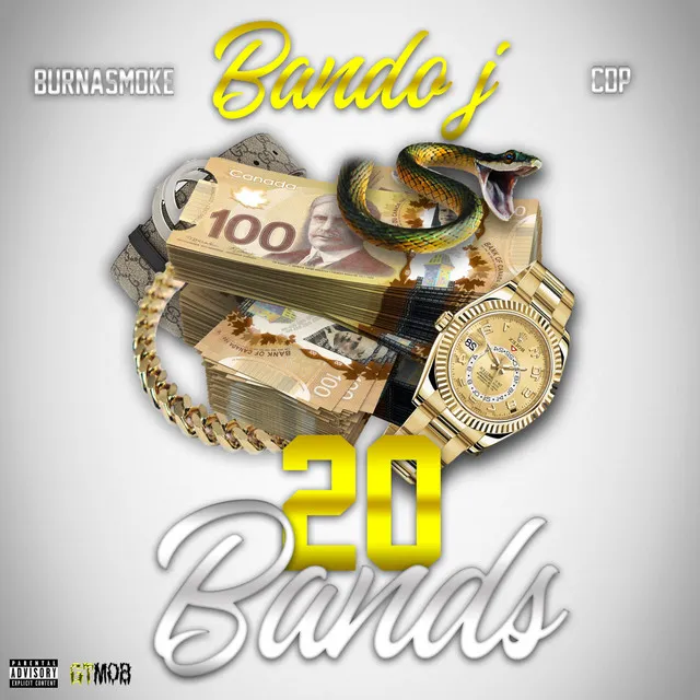 20 Bands