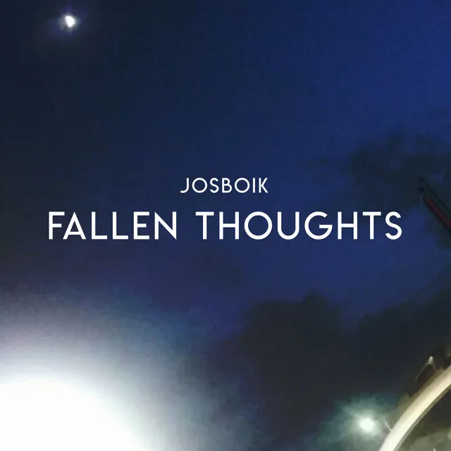 Fallen Thoughts