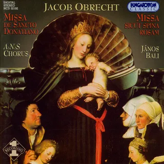 Obrecht: Missa De Sancto Donatiano / Missa Sicut Spina Rosam by Janos Bali