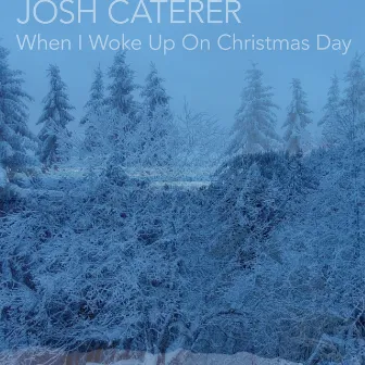 When I Woke up on Christmas Day by Josh Caterer