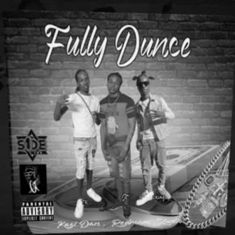 Fully dunce by kazidan