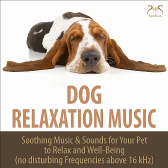 Dog Relaxation Music - Soothing Music & Sounds for Your Pet to Relax and Well-Being (no disturbing Frequencies above 16 kHz) by Pet Lover TA