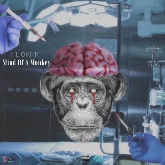 Mind of a Monkey by Flokkk G