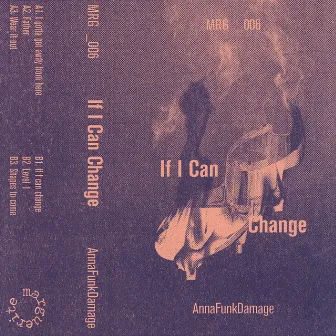 If i Can Change by Anna Funk Damage