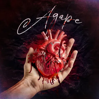 Agape by Ander 247