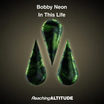 In This Life by Bobby Neon