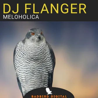 Meloholica by DJ Flanger