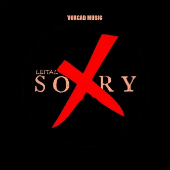 Sorry by Leital