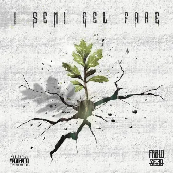 I Semi del Fare by Fablo Seed