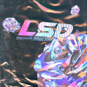 LSD by ROZES