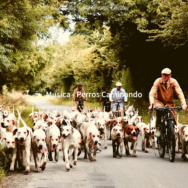 Musica (Perros de Adiestramiento)